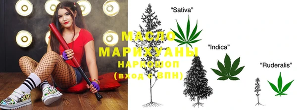 индика Абаза