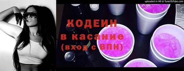 индика Абаза