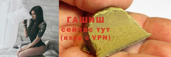 индика Абаза