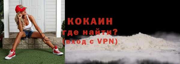 индика Абаза