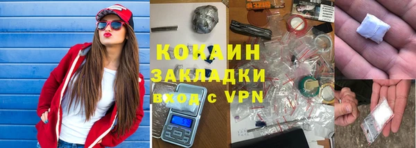 индика Абаза