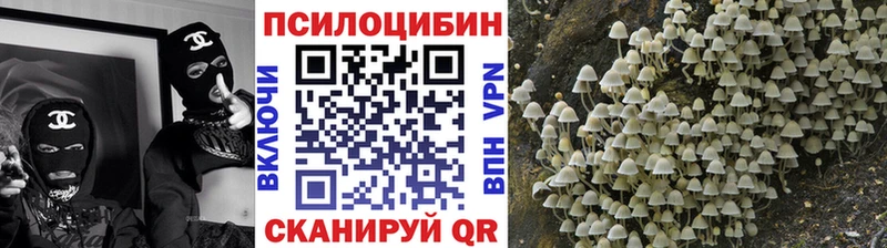 даркнет наркотические препараты  Ковдор  Псилоцибиновые грибы прущие грибы 